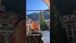 Факты от адвоката 