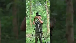 Amazing Tripod For Wildlife Photography 