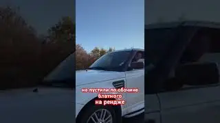 Сам нарушает, а виноваты все вокруг!