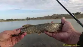 Крымский мормышинг. Карась и щука.