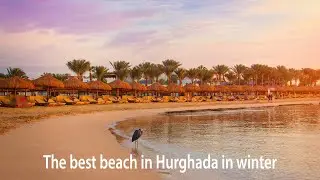 Beautiful sunrise and beach view of hotel SUNRISE Royal Makadi Resort Review #makadibay #sunrise