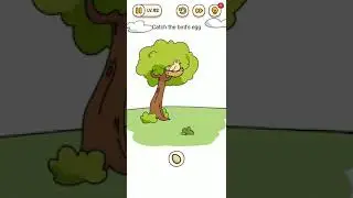 Brain find level 82 walkthrough solution - catch the bird's egg