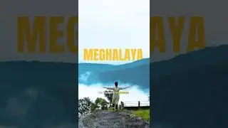 Wettest place on Earth!