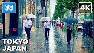 [4K] HEAVY RAIN in TOKYO JAPAN 🇯🇵 2024 Kyobashi - Ginza - Tokyo Station Walking Tour - ASMR Sounds