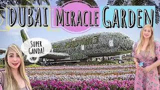 MIRACLE GARDEN DUBAI 2021