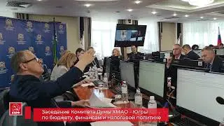 Комитет и Дума по налогам 11 06 2024