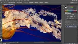 How to Use Zoom Tool in Photoshop CS6