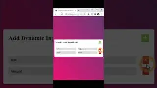 How To Create Dynamic Input Fields Creation Using HTML CSS And Vanilla JavaScript |  