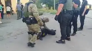 Захват земель в с. Бережинка Кировоградской области. Видео - со страницы в ФБ Оли Волиной