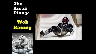 Wok Racing | Winter Sports History | The Arctic Plunge