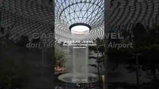 Cara ke Jewel dari Terminal 4 Changi Singapura #jewel #changiairport #rainvortex #yesseetheworld