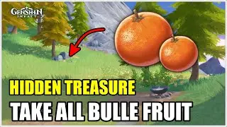 Hidden Chest from Bulle Fruit - Genshin Impact V4.1