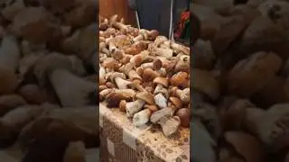 #mushroom
