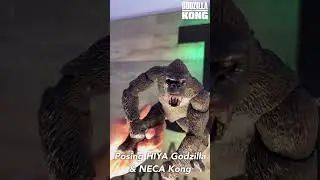 Did you watch Godzilla x Kong? 