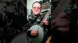 Is This Banjo Time #banjo #fingerstyle