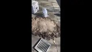 Calcium Clogged Drain