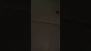 Amanop