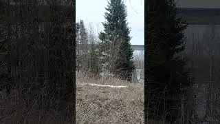 Состояние реки Печора на 26.04.24 / Лёд тронулся / Начало ледохода
