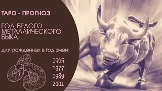 Таро-прогноз. 2021 год по восточному гороскопу для рожденных в год ЗМЕИ