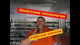 Рабочий вложик. Азиатские технологии