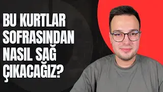 BORSA KURTLAR SOFRASI BU SOFRADAN NASIL SAĞ ÇIKACAĞIZ?