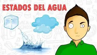 ESTADOS DEL AGUA | para todos (muy fácil)