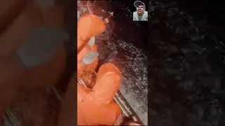 Momen Penangkapan Cumi-Cumi Raksasa Yang Lagi Viral