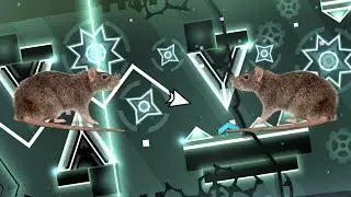 Rat Poison by Acratic 100% (Top 50 Challenge) | Geometry Dash