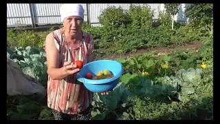 Июльская жара 24!  Мой садик - огородик! //Я и мои кролики//