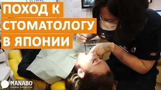 Стоматология в Японии: сколько стоит, медицинская страховка. Интервью с Анастасией Цудзуки