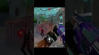 He Called Me The Terminator 
