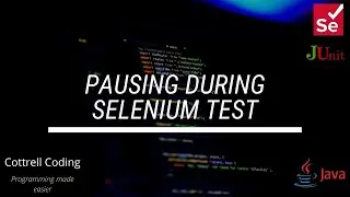 Pause during Selenium test