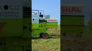 #vishal435#brisk
