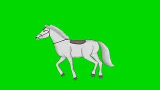 Horse Green screen video | Animals 🐎 Green screen video | Horse Green screen video Copyright free