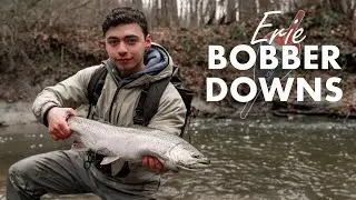 BOBBER DOWN! HOT Winter Steelhead Fishing Erie Tributaries