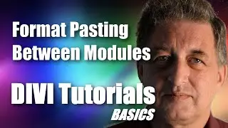 #20 DIVI Theme Tutorial for Beginners -  Format Pasting Between DIVI Modules