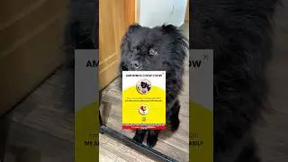 VOTE FOR ME FOR THE IBEST AWARD
