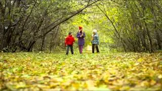 Stock Footage - Autumn Weekend Walk | VideoHive