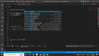 How to find version of npm packages  installed globally or locally in the system npm commands
