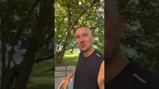 Мой сад летом 