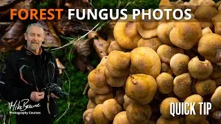 Photographing Mushrooms In The New Forest - Mike Browne