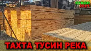 ТАХТА ТУСИН РЕКА НАРХЛАРИ 2021. КУКОН ЎТИН БОЗОРИДАН. НАРХЛАР АНЧА УРЗГАРГАН. / NARX NAVO