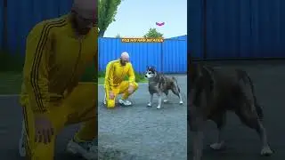 ЭТА СОБАКА ПОМОГЛА МНЕ СПАСТИ ДЕВОЧКУ В ГТА 5 (GTA 5 RMRP / Криминальная Москва)
