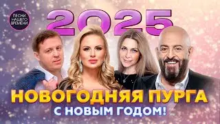 2025 НОВОГОДНЯЯ ПУРГА🎄🎠 или С Новым Годом, друзья!