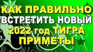 Как правильно встречать Новый 2022 год Тигра: приметы