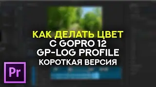 Как делать цвет с GoPro 12 GP-LOG Profile - Короткая версия