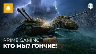 Новый набор от Prime Gaming — для прирождённых Гончих!