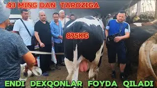 Xalq Kutgan kunlar Keldi 43 mingdan Bo'ldi Taroziga Asaka O'zbekiston Chorva Bozori 25-iyul, 2024