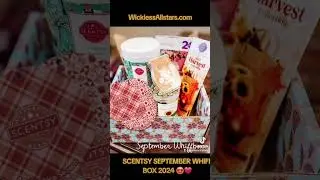 SCENTSY SEPTEMBER WHIFF BOX 2024 ❤️ #wicklessallstars