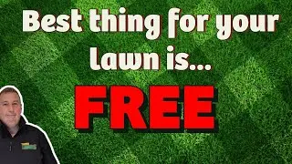 Lawn care for beginners and *EVERYONE ELSE* | The one third rule